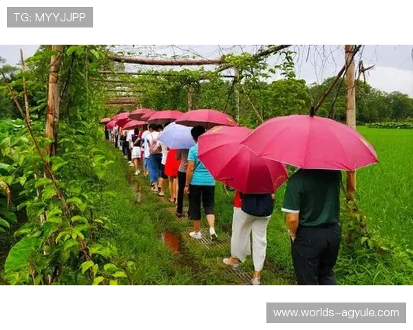 了解AG集团免费体验金领取流程让你轻松开启零成本娱乐新体验